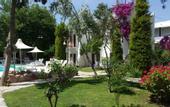 Туры в отель Safir Hotel