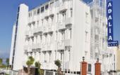 Туры в отель Lucky Monkey Hotel