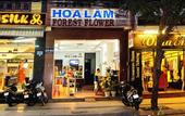 Туры в отель Hoa Lam Hotel