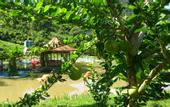 Туры в отель Hoa Lam Hotel
