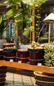Туры в отель Salinda Resort Phu Quoc Island