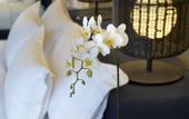 Туры в отель U Paasha Seminyak Bali