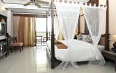 Туры в отель Pattaya Loft