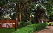 Туры в отель Lake Manyara Serena