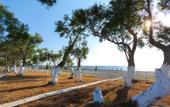 Туры в отель Memories Beach Hotel