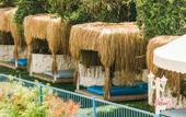 Туры в отель Monta Verde Hotel & Villas