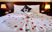 Туры в отель Bella Begonia Nha Trang