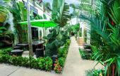 Туры в отель Palm Oasis Boutique Hotel