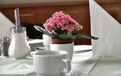 Туры в отель Best Western City Hotel Moran