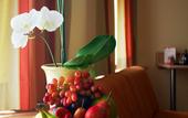 Туры в отель City Partner Hotel Adria
