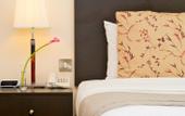 Туры в отель City Seasons Al Ain