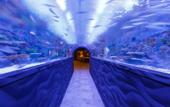 Туры в отель Isfanbul Holiday Home & Suites