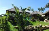 Туры в отель Bamboo Village