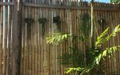 Туры в отель Bamboo Village