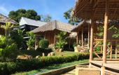 Туры в отель Bamboo Village