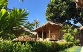 Туры в отель Bamboo Village