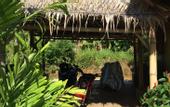 Туры в отель Bamboo Village