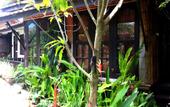 Туры в отель Bamboo Village