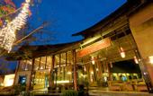 Туры в отель Bamboo Village