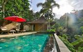 Туры в отель Ayung Resort Ubud
