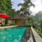 Туры в отель Ayung Resort Ubud, оператор Anex Tour