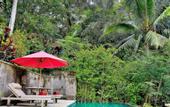 Туры в отель Ayung Resort Ubud