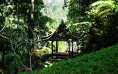 Туры в отель Ayung Resort Ubud
