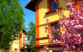 Туры в отель Alpin Avion Hotel