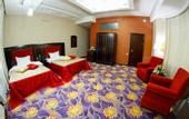 Туры в отель Safran Hotel