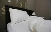 Туры в отель Hotel Aksai