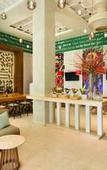 Туры в отель Hyatt Zilara Rose Hall
