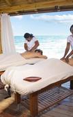 Туры в отель Hyatt Zilara Rose Hall