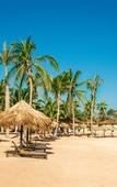 Туры в отель Hyatt Zilara Rose Hall