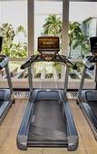 Туры в отель Hyatt Zilara Rose Hall