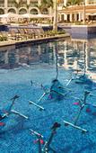 Туры в отель Hyatt Zilara Rose Hall