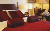 Туры в отель Bayview Hotel