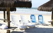Туры в отель Delphin Hotel