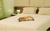 Туры в отель Delphin Hotel