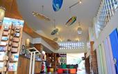 Туры в отель Bliss Surfer Hotel