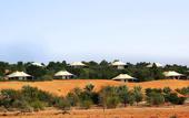Туры в отель Al Maha, a Luxury Collection Desert Resort & Spa
