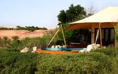 Туры в отель Al Maha, a Luxury Collection Desert Resort & Spa