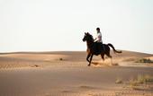 Туры в отель Al Maha, a Luxury Collection Desert Resort & Spa