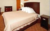 Туры в отель Clarion Park Avenue