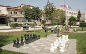 Туры в отель Assembly Hotel