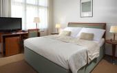 Туры в отель Clarion Hotel Prague Old Town