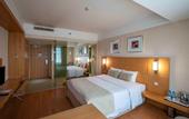 Туры в отель Anemon Afyon Spa Hotel & Convention Center