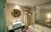 Туры в отель Anemon Afyon Spa Hotel & Convention Center