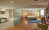 Туры в отель Anemon Afyon Spa Hotel & Convention Center