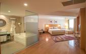 Туры в отель Anemon Afyon Spa Hotel & Convention Center