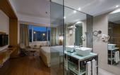 Туры в отель Anemon Afyon Spa Hotel & Convention Center